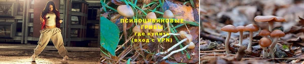 MESCALINE Пересвет