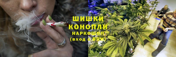 ешки Пестово